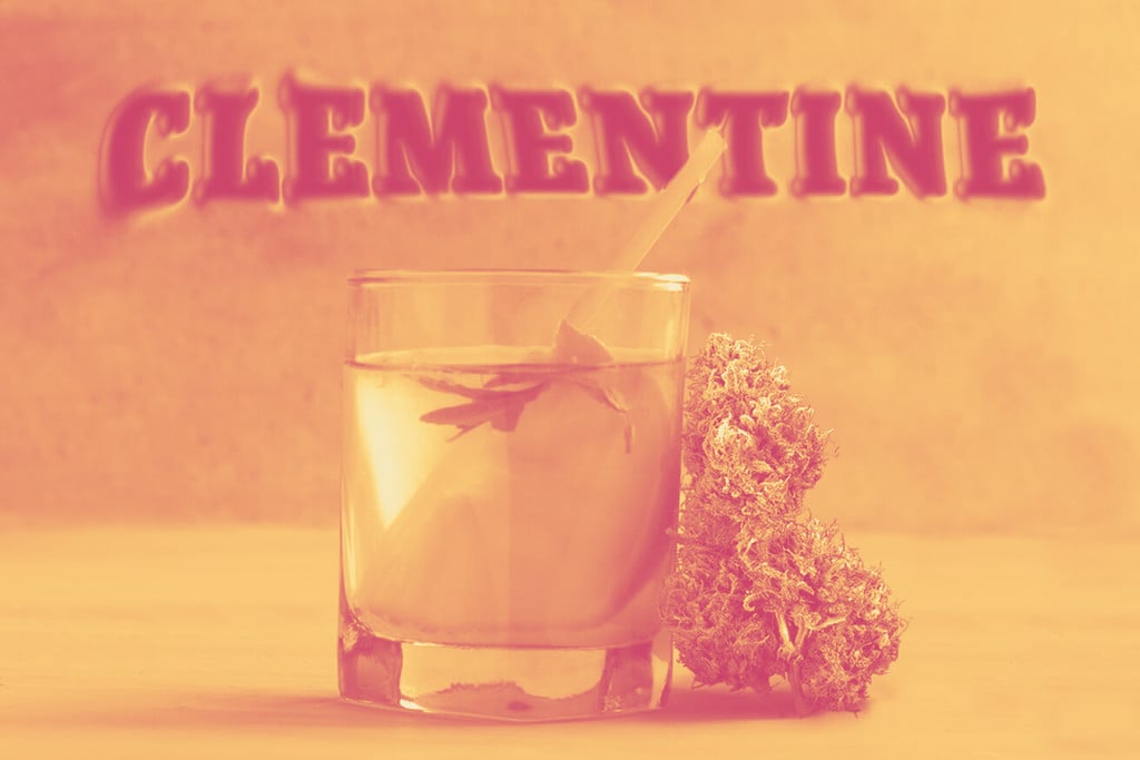 Clementine: Discover This Fruity Weed Strain