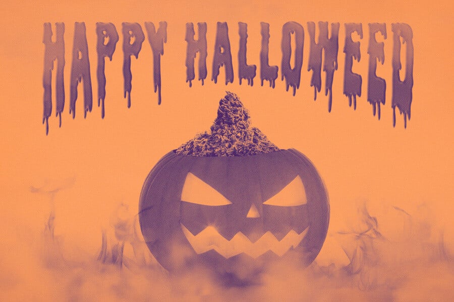 Halloween & Cannabis: History, Strains, and Films