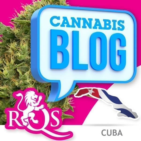 Cannabis in Cuba
