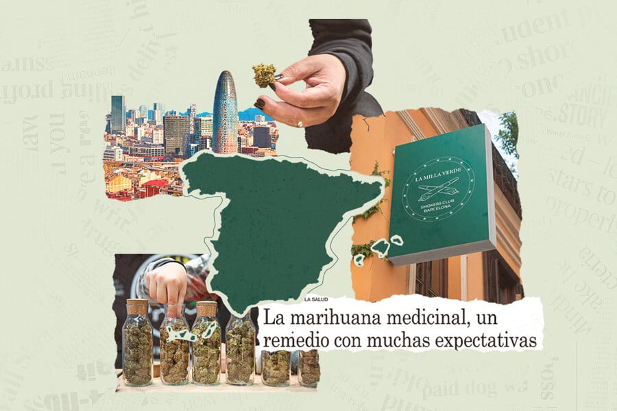 The Legal Status of Cannabis in Spain: All You Need to Know