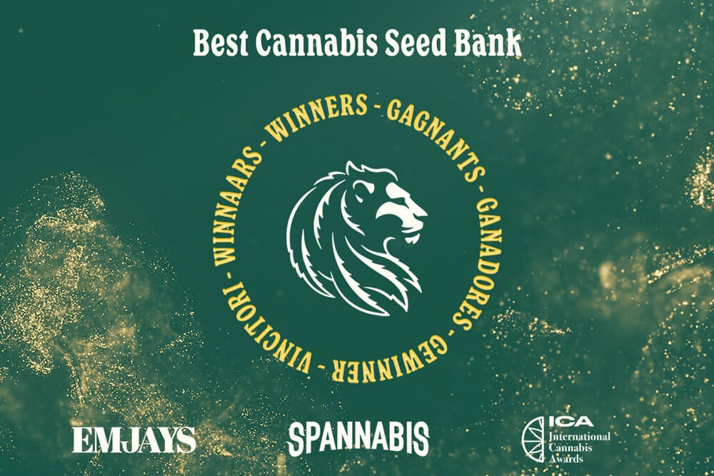 RQS Wins Best Seed Bank at Spannabis, ICA & EMJAYS