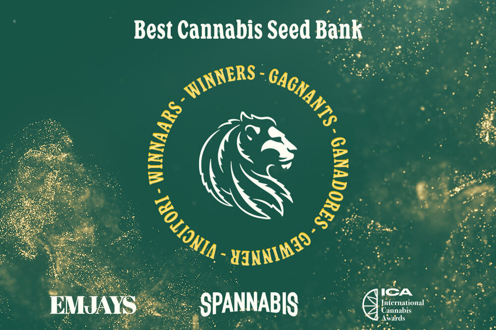 RQS Wins Best Seed Bank at Spannabis, ICA & EMJAYS