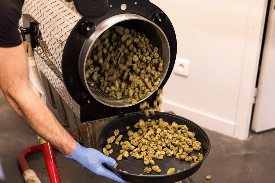 How to Build an Automated Cannabis Curing System