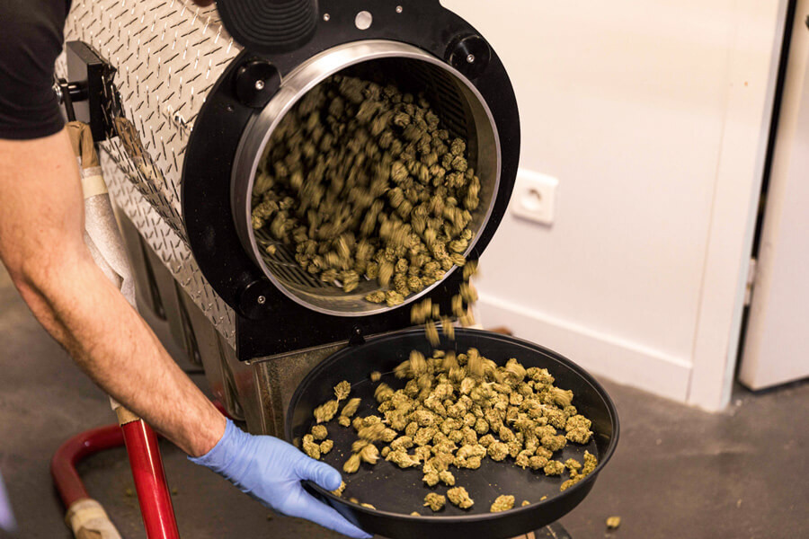 How to Build an Automated Cannabis Curing System