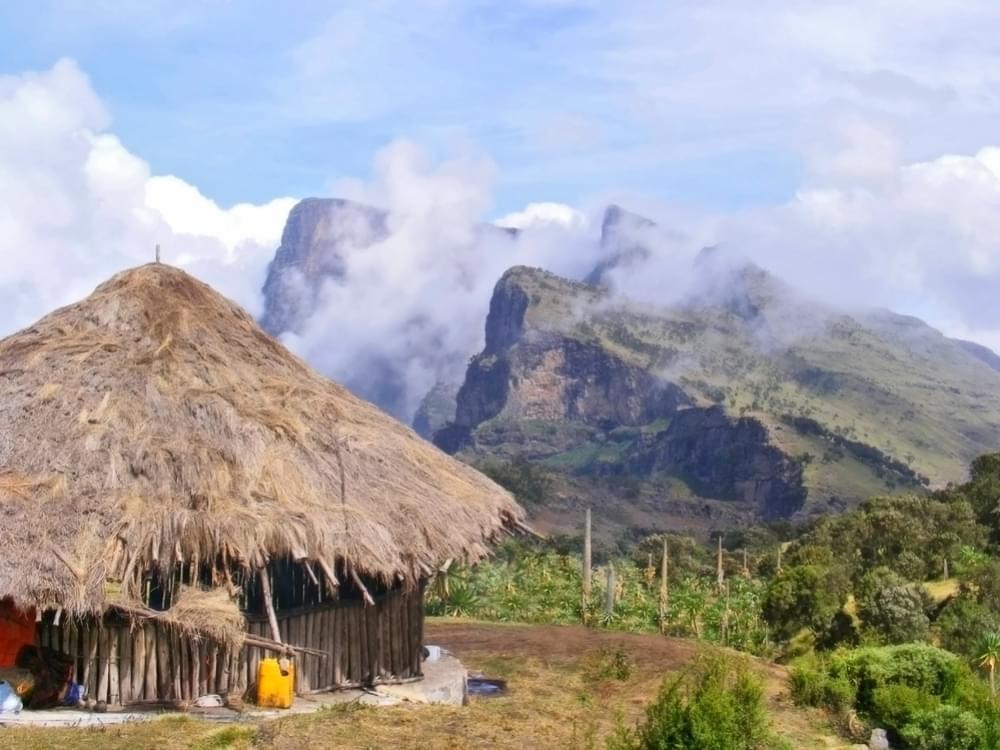 Cannabis in Ethiopia