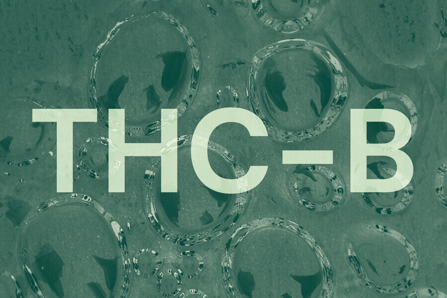 What You Need to Know About THCB