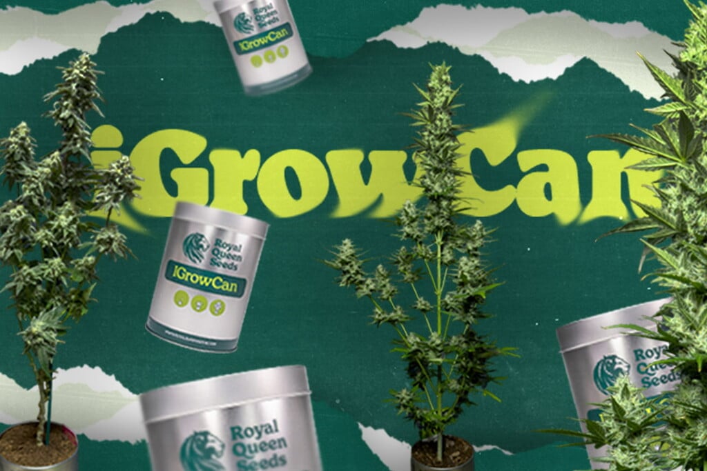 Discover the iGrowCan: The Easiest Way to Start Your First Cannabis Grow