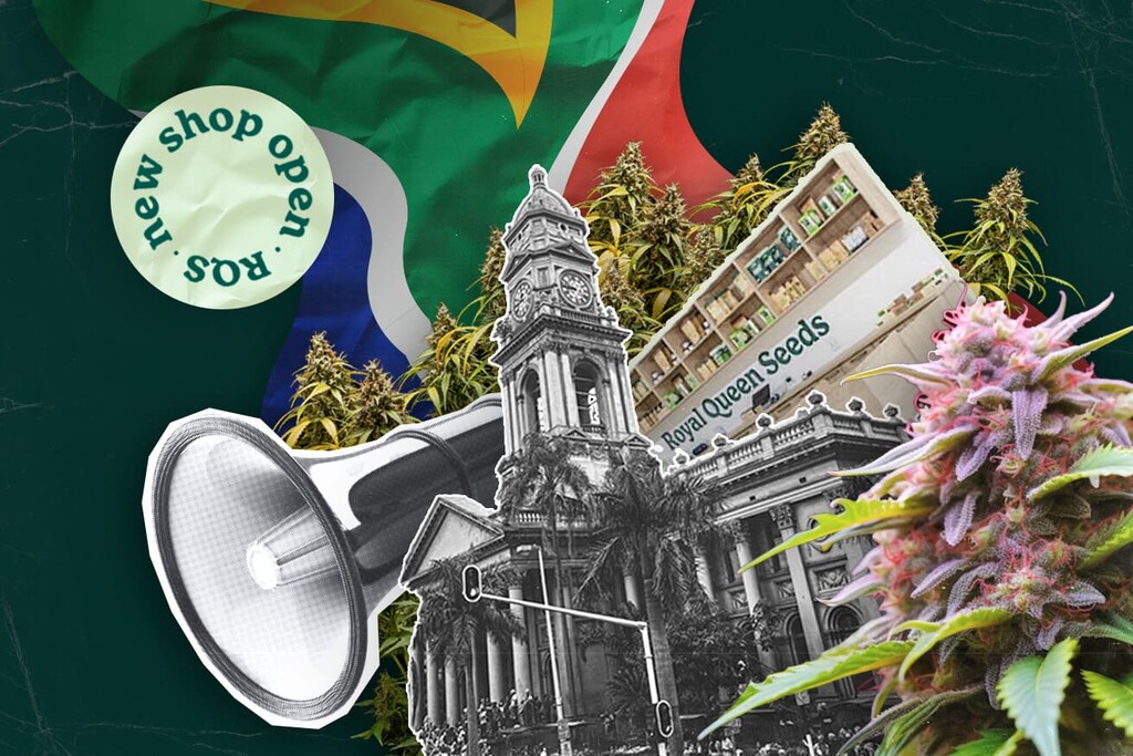 Royal Queen Seeds Opens First Store in Durban, Bringing Premium Cannabis Seeds to South Africa