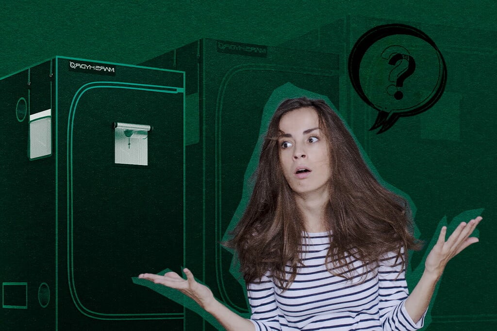 What Do You Need for a Grow Tent?