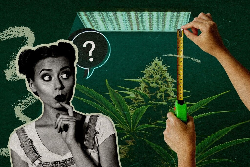 LED Grow Light Distance: How Far Should Grow Lights Be From Plants at Every Stage?