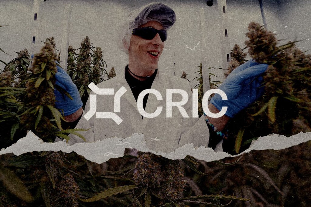 Cannabis Conversations: CRIC Labs Trials Medusa F1 & Orion F1 Autoflowers 