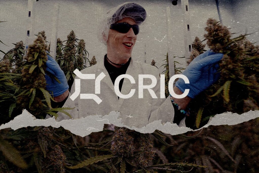 Cannabis Conversations: CRIC Labs Trials Medusa F1 & Orion F1 Autoflowers 