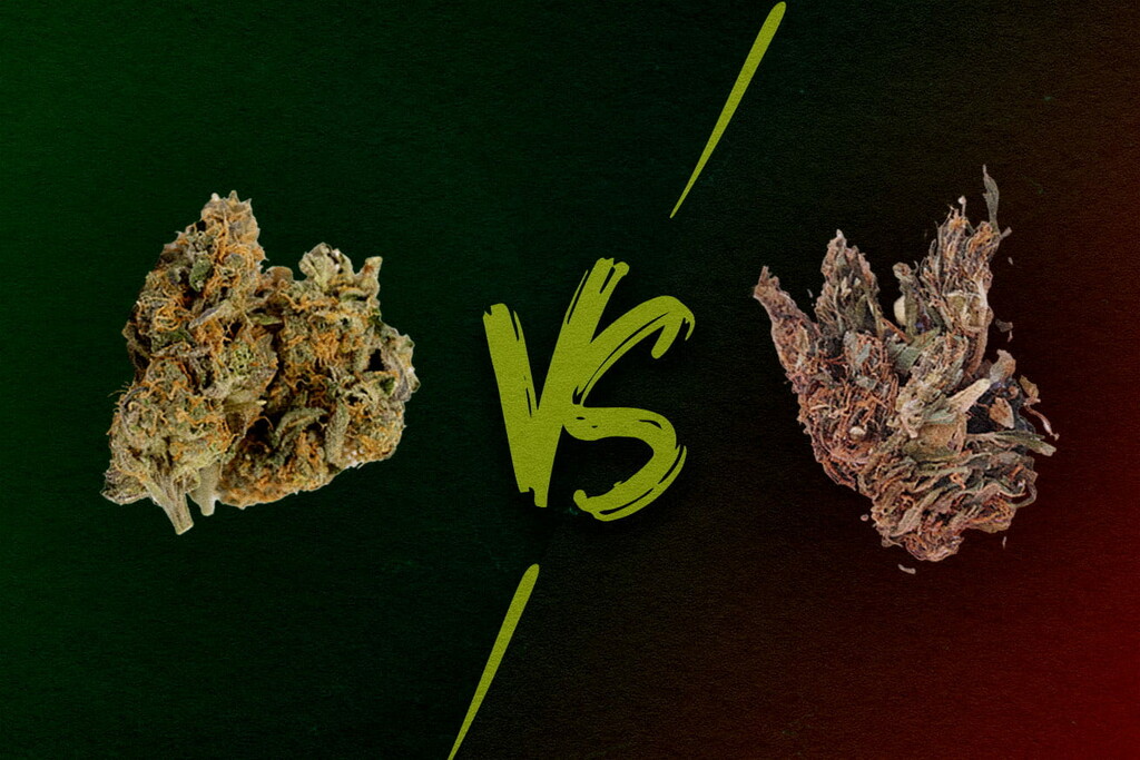 Good Weed vs Bad Weed: What Does Reggie, Mid, and Loud Weed Look Like?