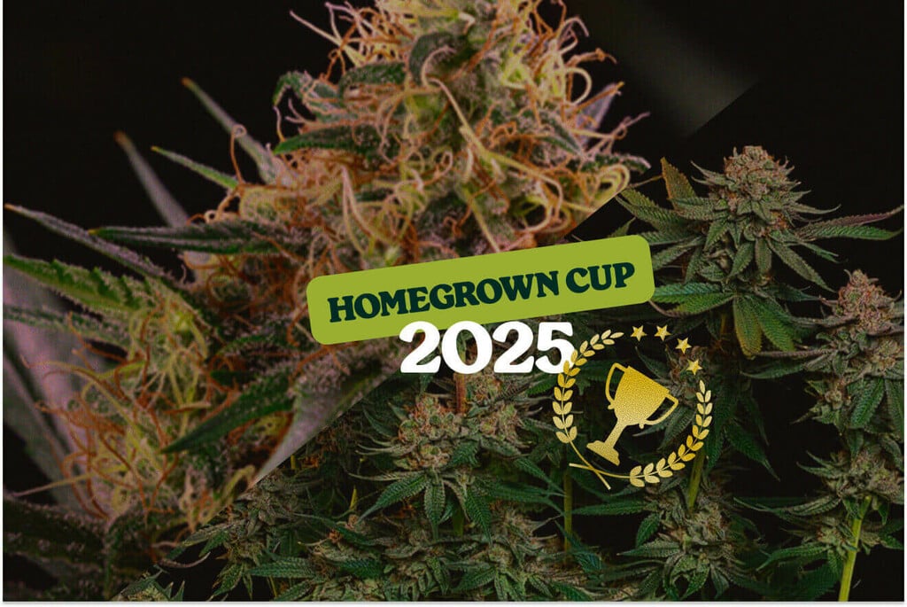 Royal Queen Seeds Celebrates Major Wins at HomeGrown Cup 2025