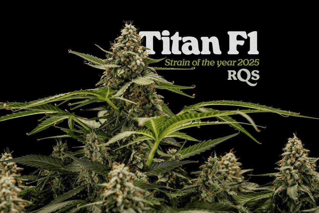 Strain of the Year 2025: Titan F1
