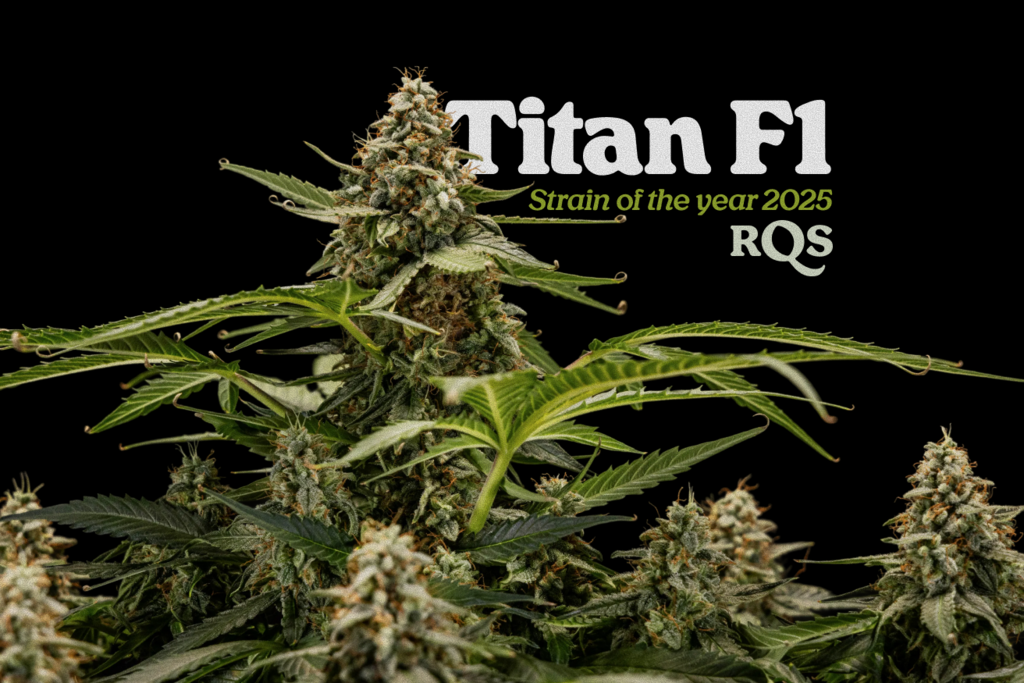 Strain of the year 2025: Titan F1