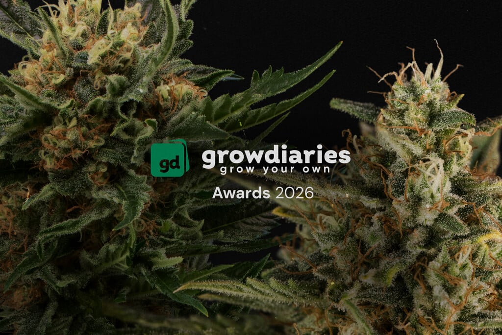 Royal Queen Seeds Wins 4 Major Titles at the GrowDiaries Awards 2026