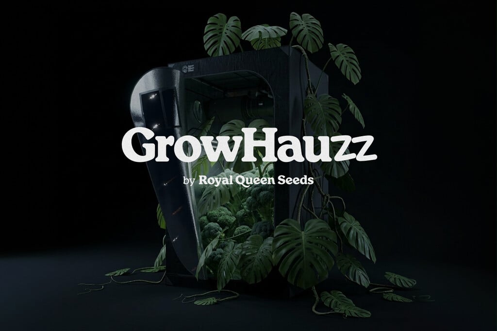 RQS Is Growing: Introducing GrowHauzz