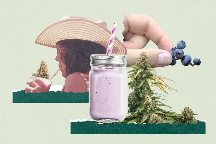 Cannabis Blueberry Smoothies: 3 Unique Recipes