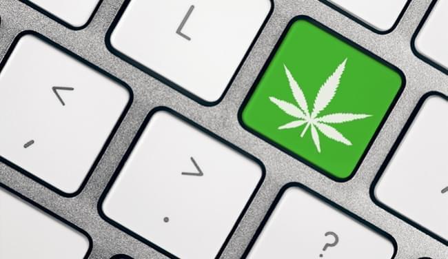 Royal Queen Seeds is Looking for More Translators!