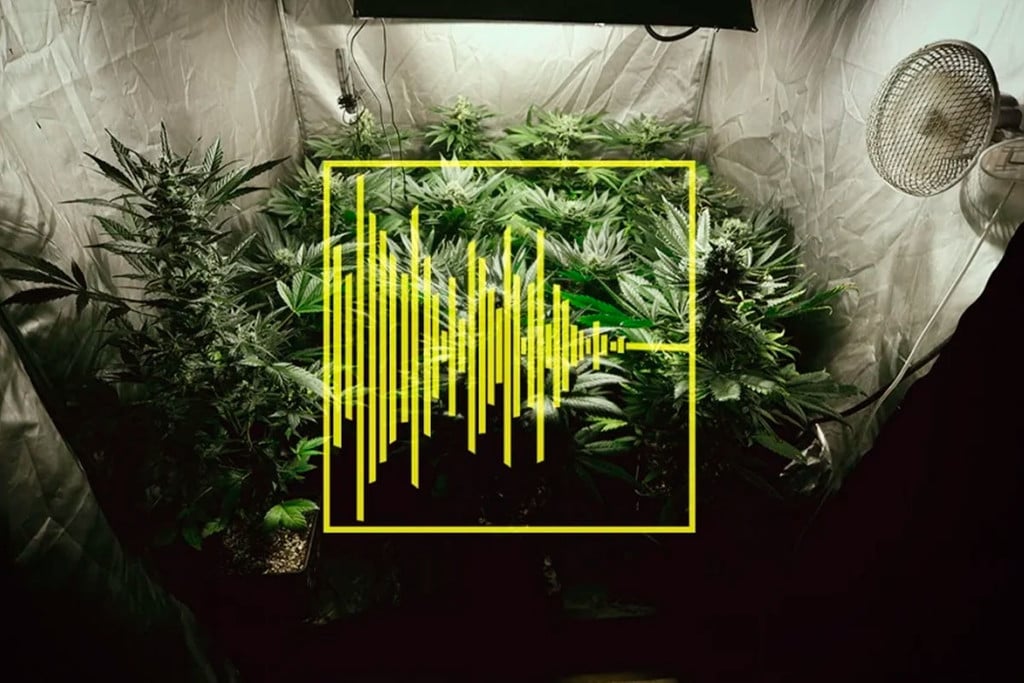 Tips for Silencing Your Cannabis Grow Room or Tent