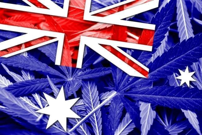 Australia Legalized the Cultivation of Medical Marijuana