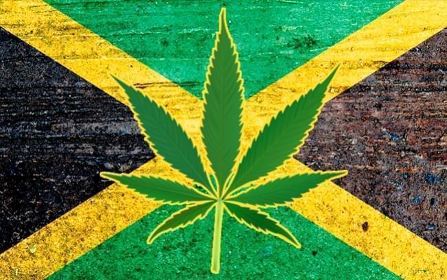 Jamaican Cannabis Decriminilsation Paves The Way For Booming Pot Tourism Industry