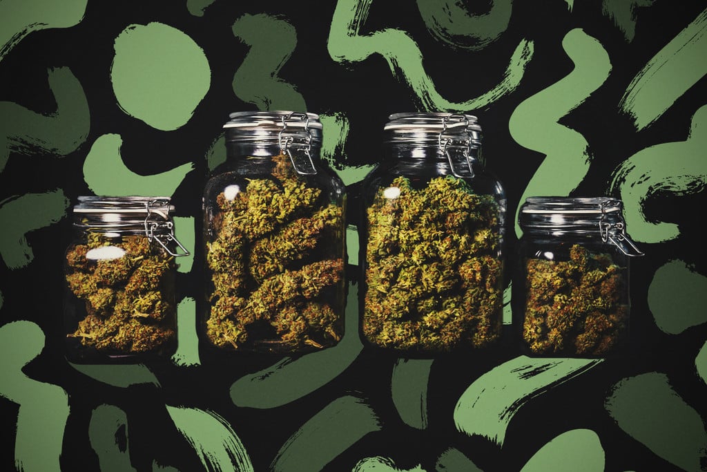 How to Cure Your Cannabis Buds