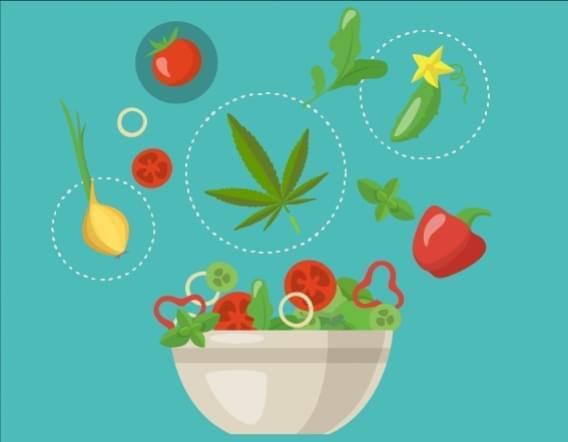 Healthy Marijuana Edibles - Cannabis Guacamole