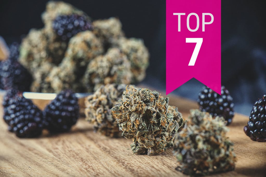Top Fruity Marijuana Strains