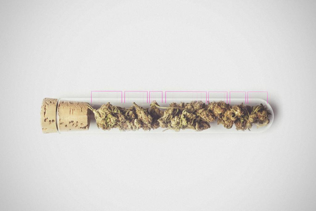 Discover What It Means to Be a High-Functioning Stoner - RQS Blog