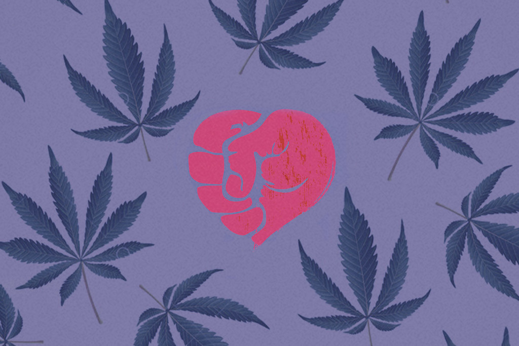 The Relationship Between Cannabis Use and Domestic Violence