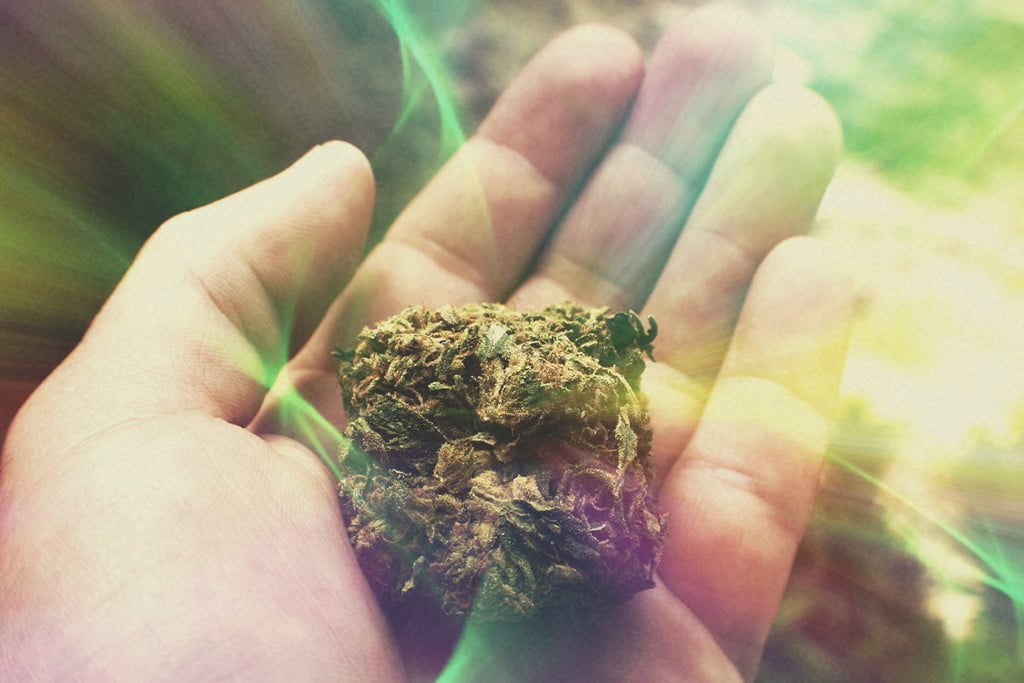 Cannabis Potency: Is Today's Weed Really That Much Stronger?