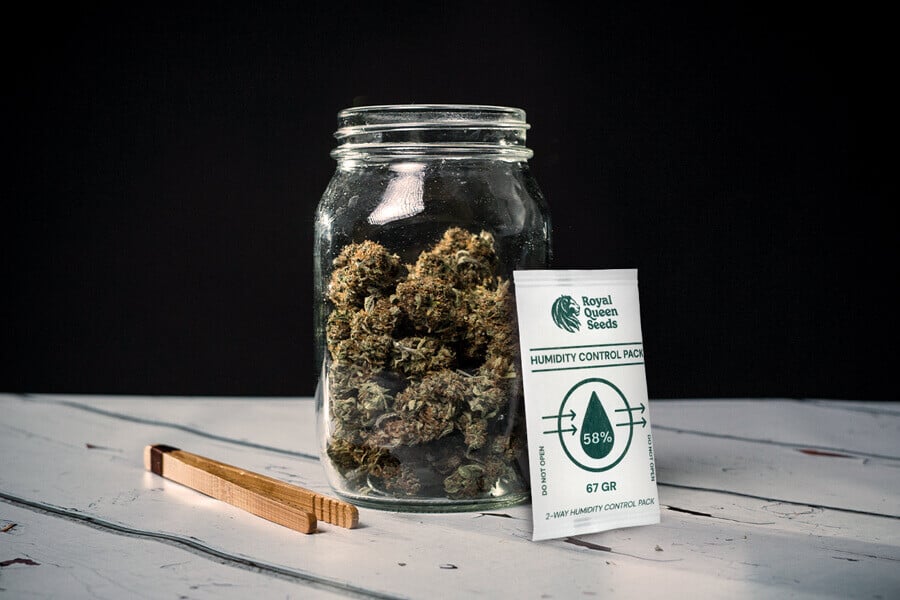 How to Avoid Moldy Marijuana During Drying and Curing