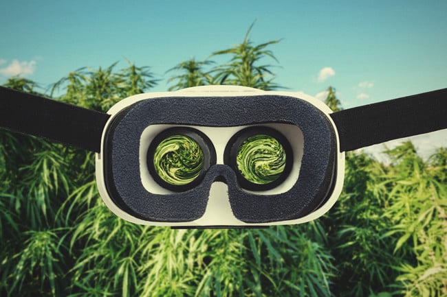 Helpful Gadgets To Grow Cannabis - RQS Blog