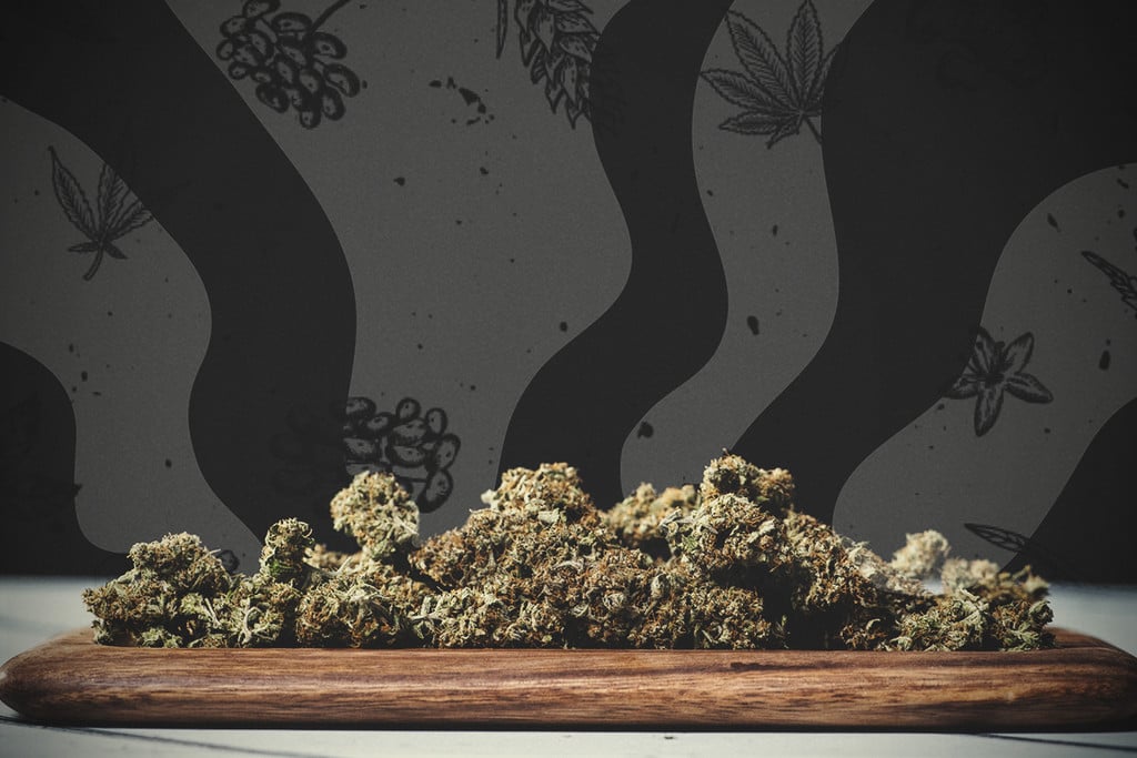 How To Grow Weed That Smells Strong And Tastes Superb