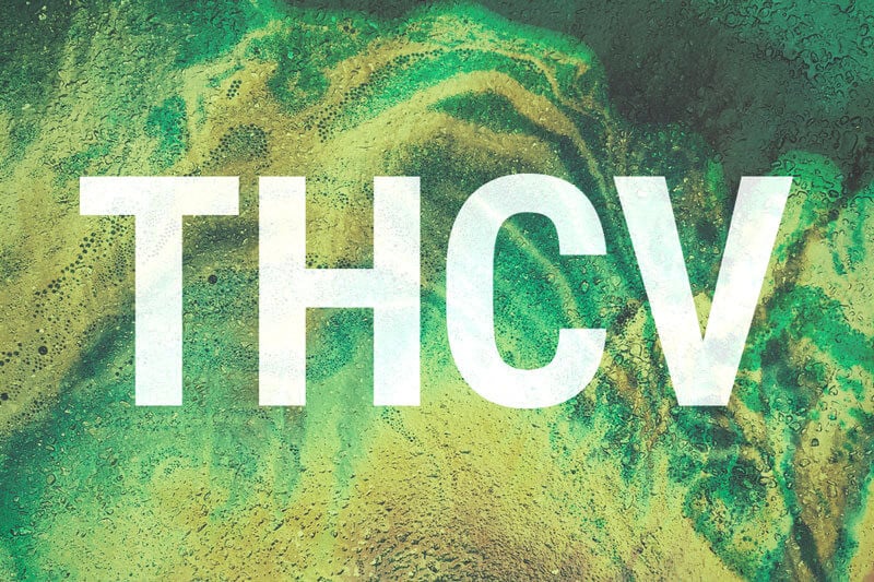 THCV, An Up And Coming Member Of The Cannabinoid Family