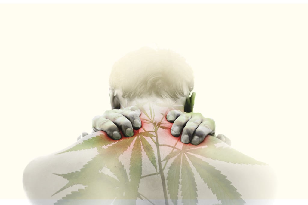 Find Out How Massage and Cannabis Combine
