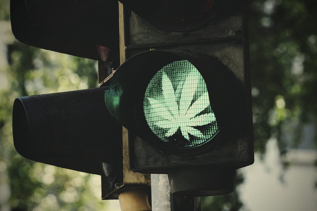 10 Reasons Why Cannabis Should Be Legal Worldwide