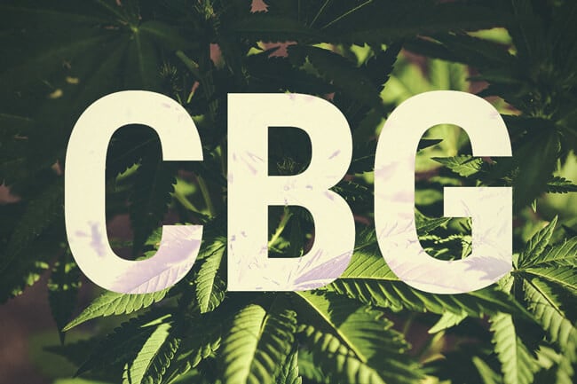 What Is Cannabigerol (CBG)?