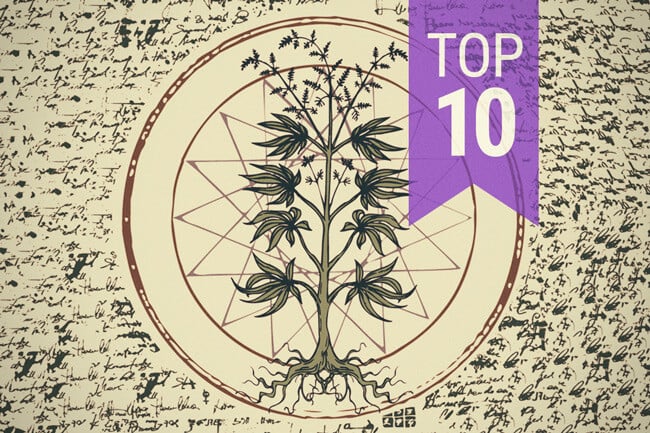Top 10 Myths About Cannabis