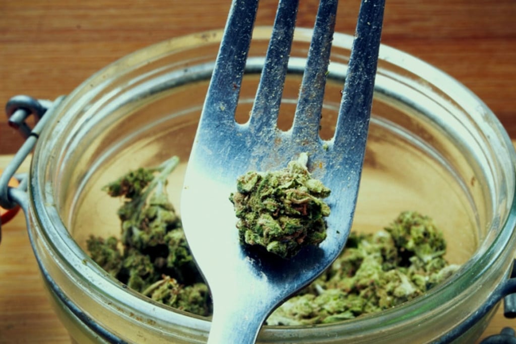 The Therapeutic And Dietary Benefits of Eating Raw Cannabis