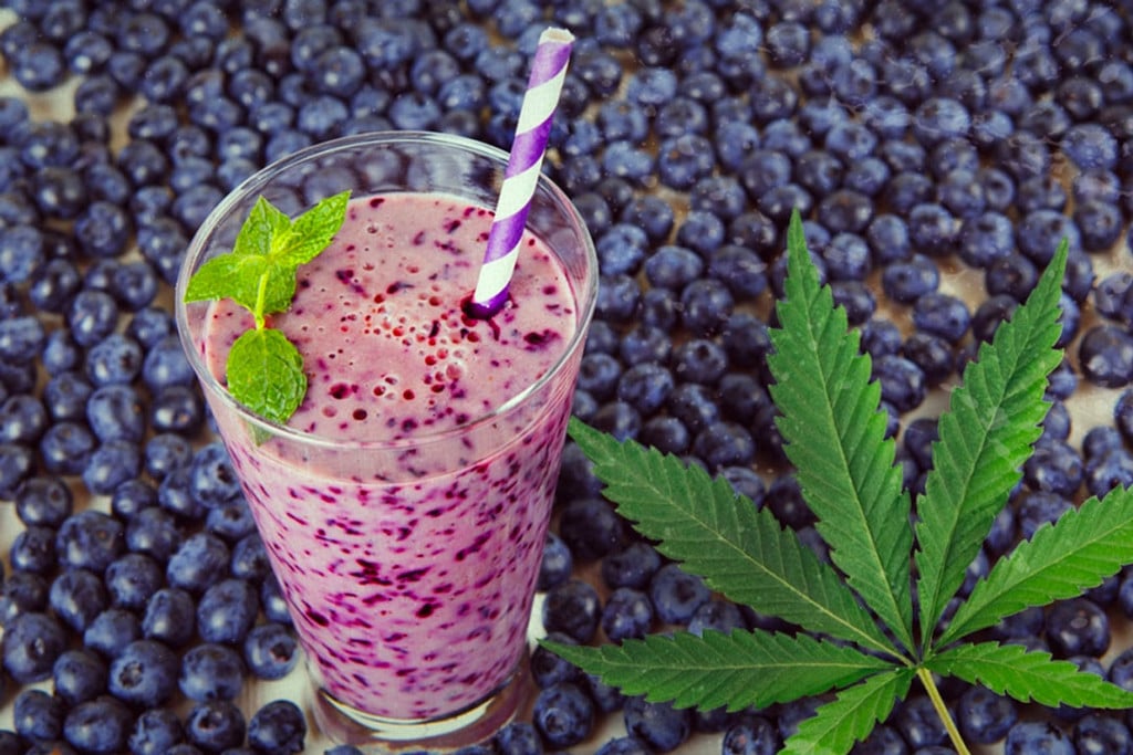 The Ultimate Cannabis Blueberry Smoothie Recipe
