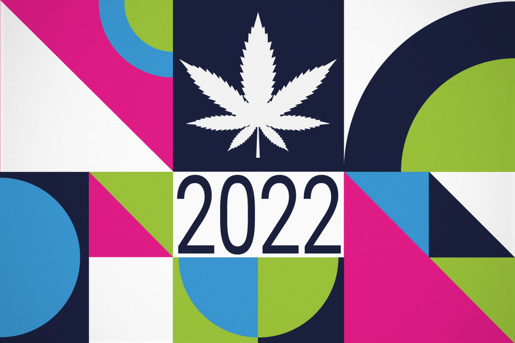 European Drug Reports: Cannabis Use Statistics 2022