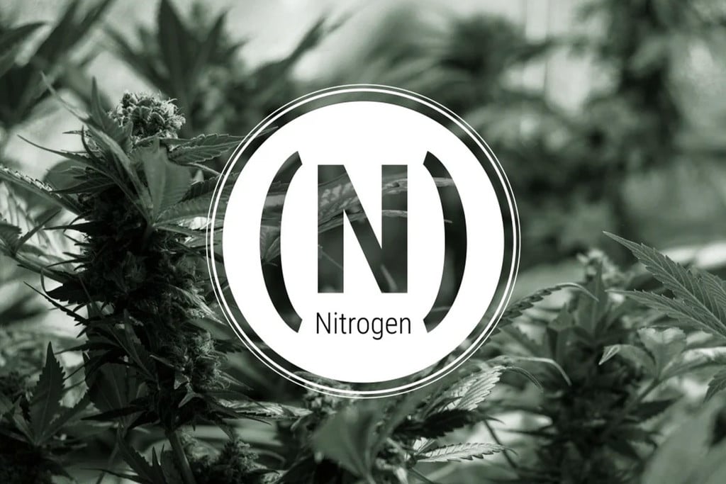 Nitrogen Deficiency in Cannabis: Signs and Solutions
