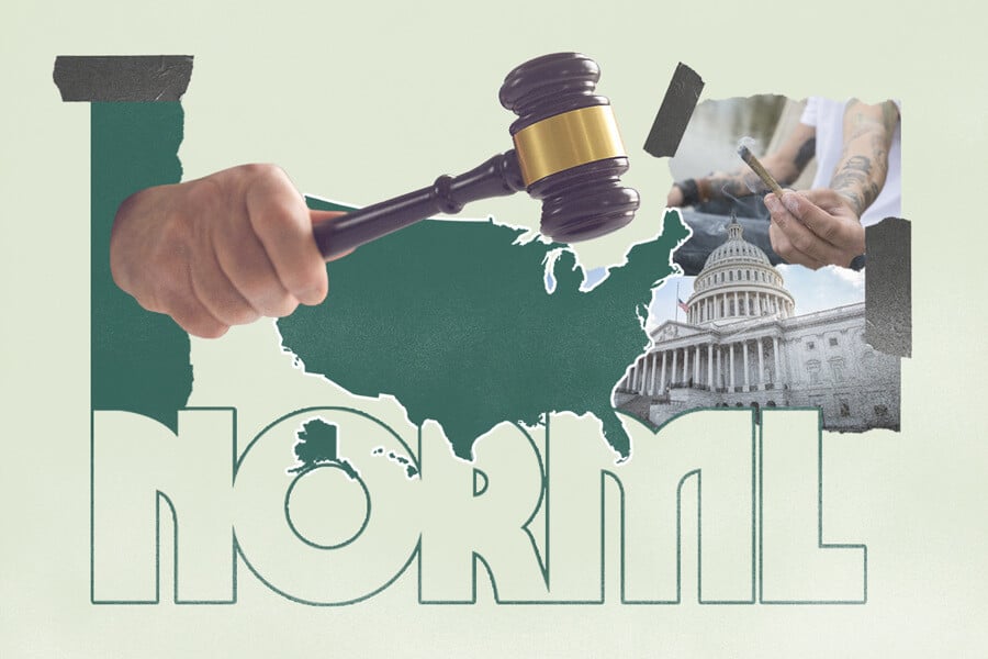 A Brief History Of NORML