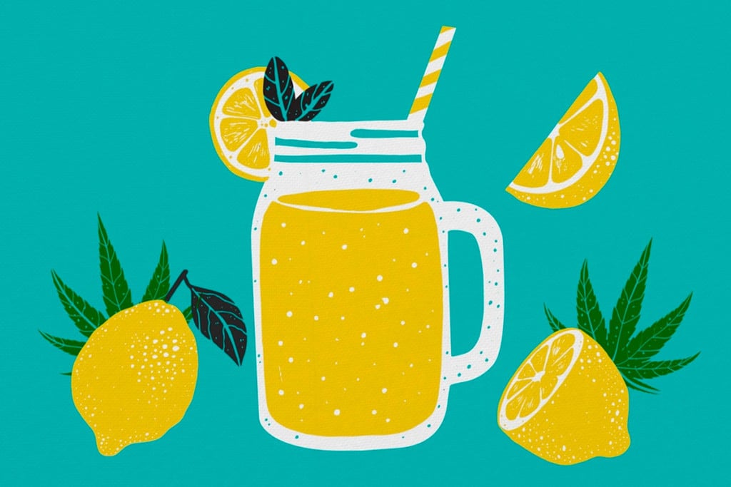 Cannabis Lemonade - A Great Treat For The Summer