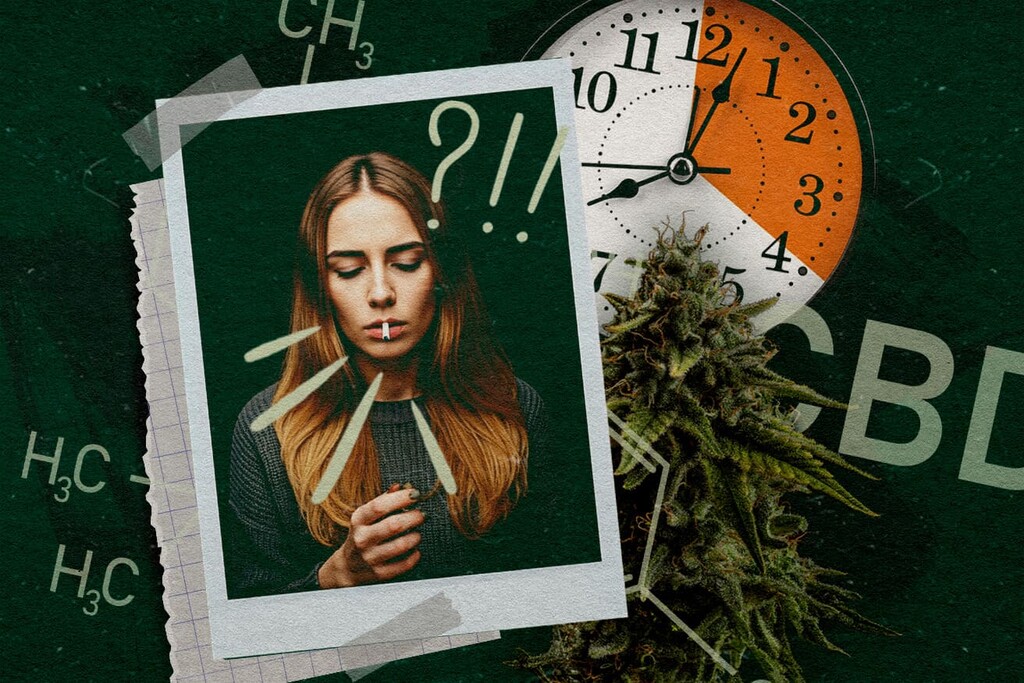 Tips for Easing Back Into Cannabis Consumption After a Break