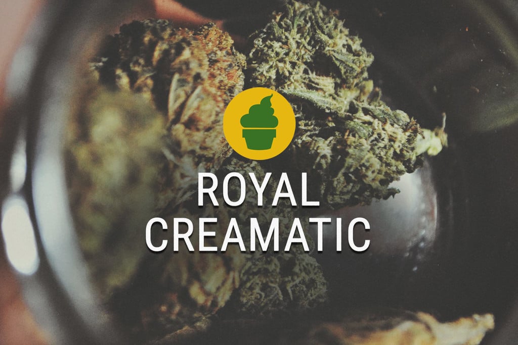 Royal Creamatic Strain Smoke Report