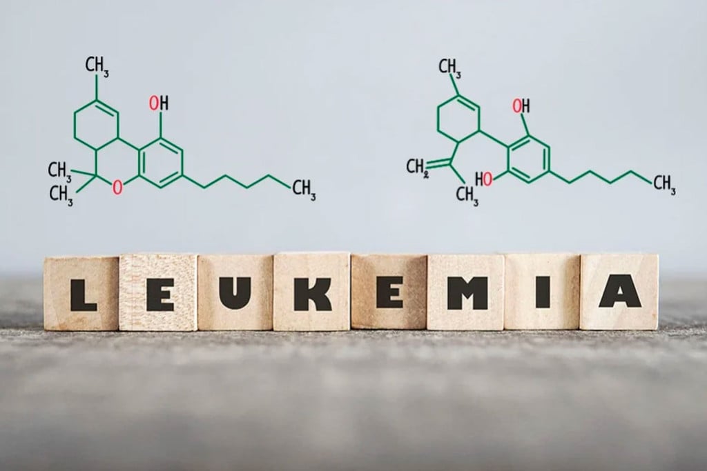 The Role Of Cannabis In The Treatment Of Leukaemia